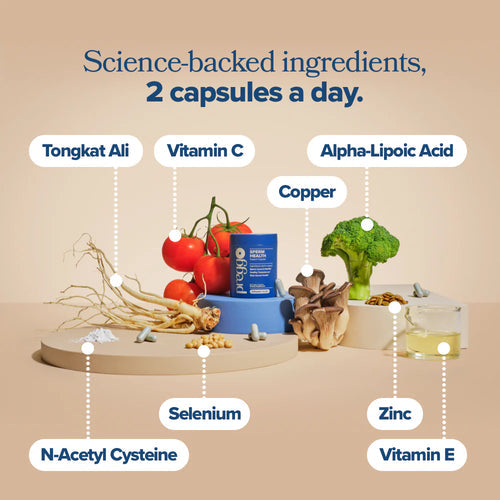 Sperm Health Support Capsules