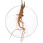 KSM-66® Ashwagandha