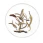 GABA