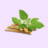 Black Cohosh